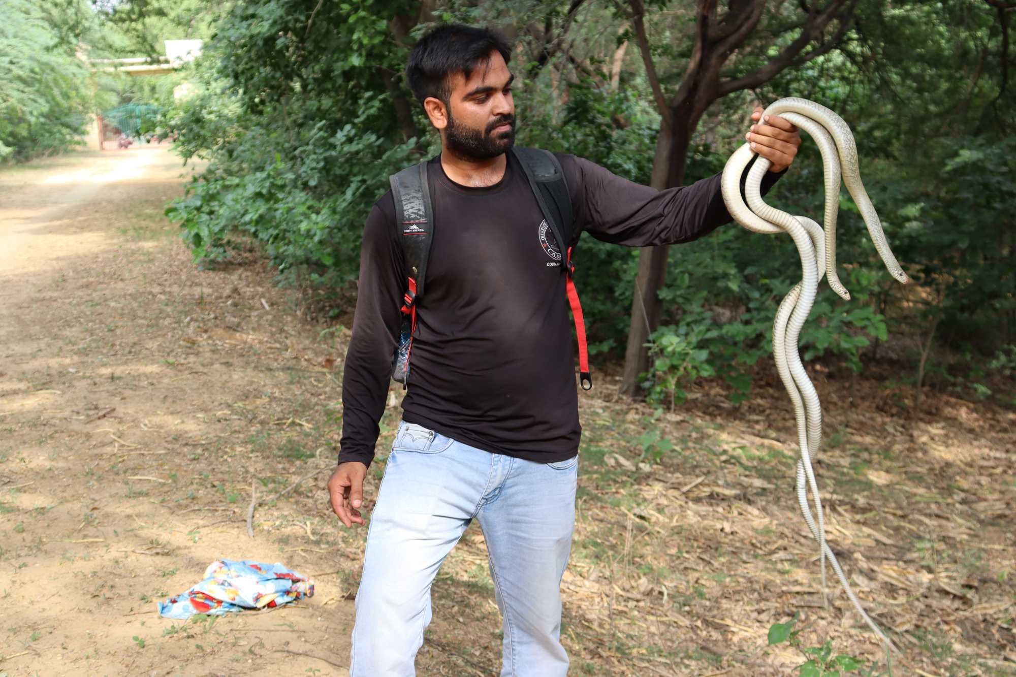 Animal Rescue in Agra