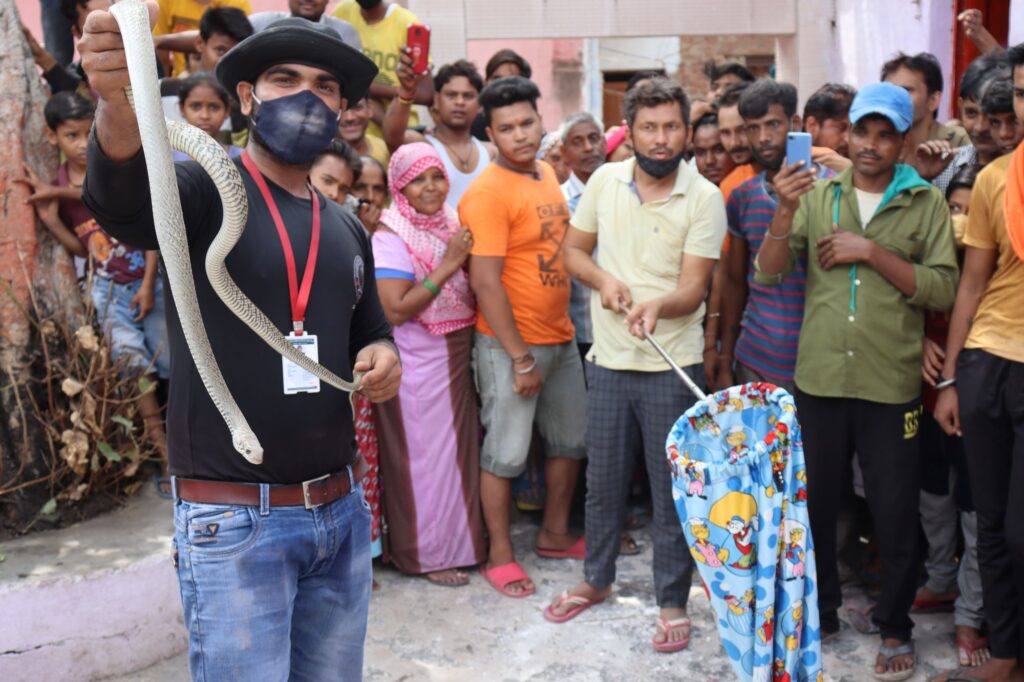 snake rescuer near me in india
