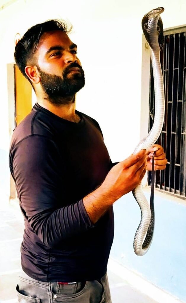 Snake Rescue Team in India