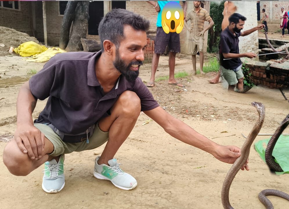 Snake Rescue Team in India snake Catcher Gorakhpur