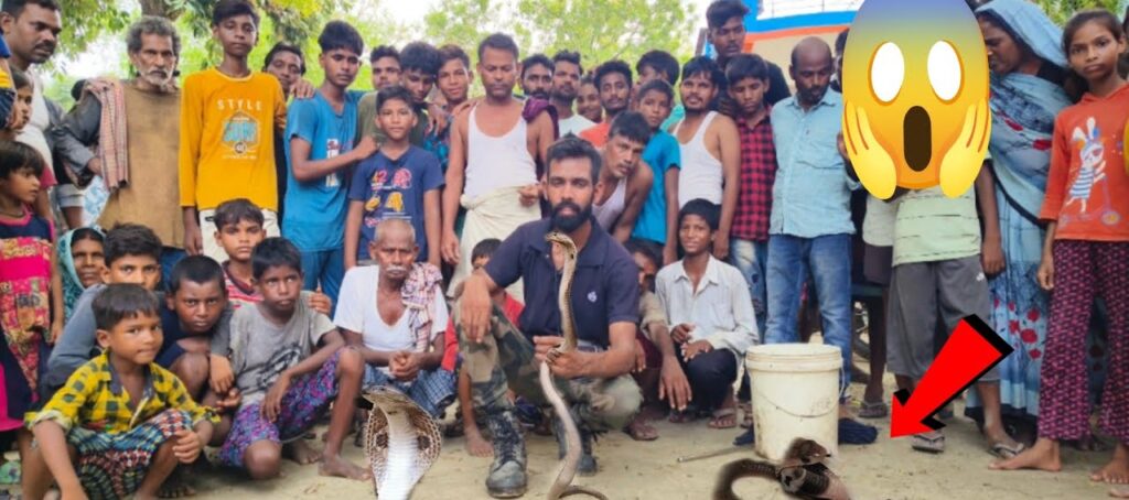 alt="Snake Catcher in Uttar Pradesh rescuing cobra"