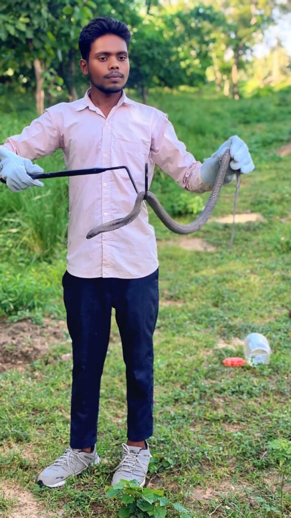 Snake Rescue Team in India Snake Catcher Dileep Kumar Bahraich