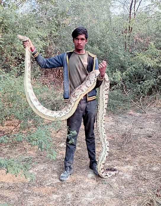 snake catcher Kannauj