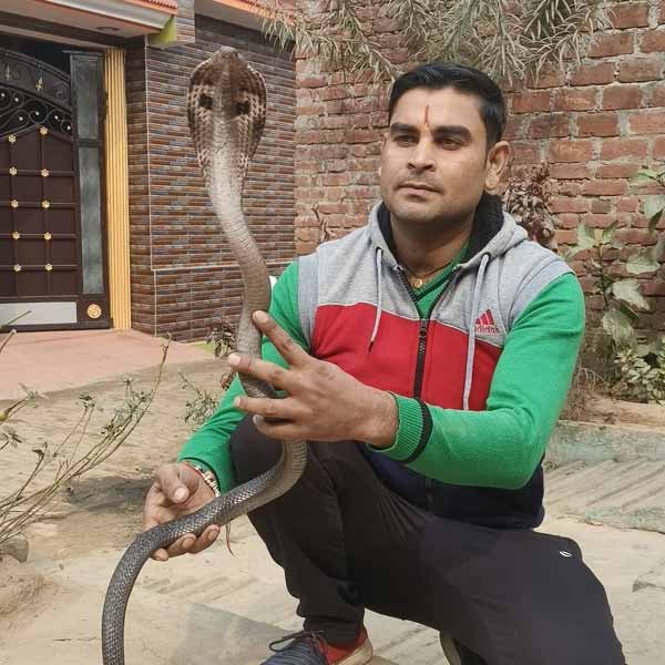snake catcher bijnor