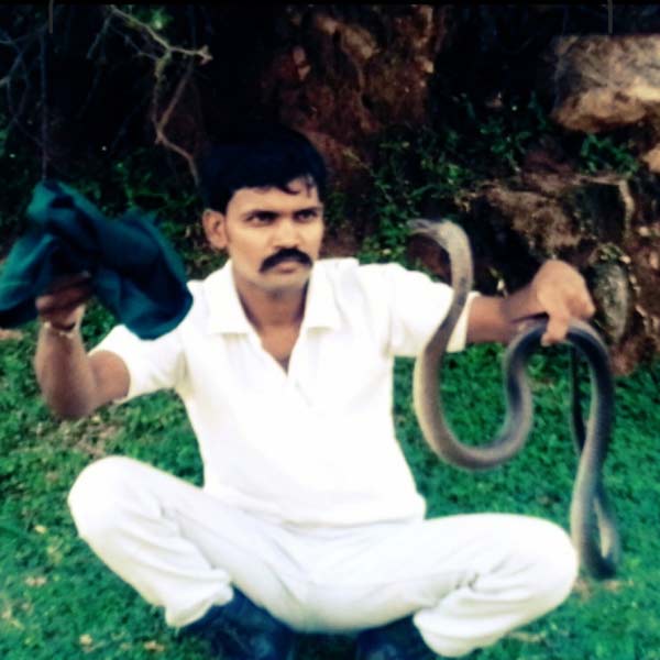 Snake Catcher Mahoba