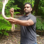 Animal Rescue in Agra