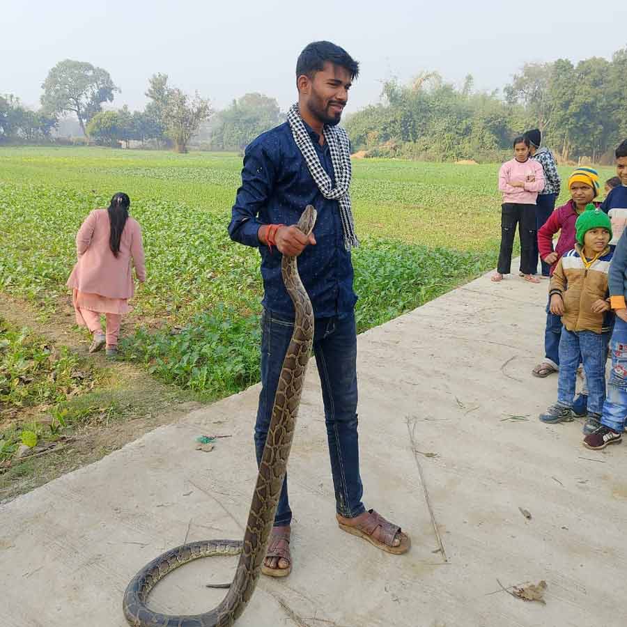 Snake Rescue Team in India snake catcher tejpratap Kushinagar