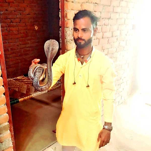 snake catcher aligarh