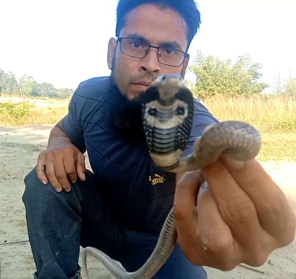 Snake Rescue Team in India Snake Catcher Lucknow