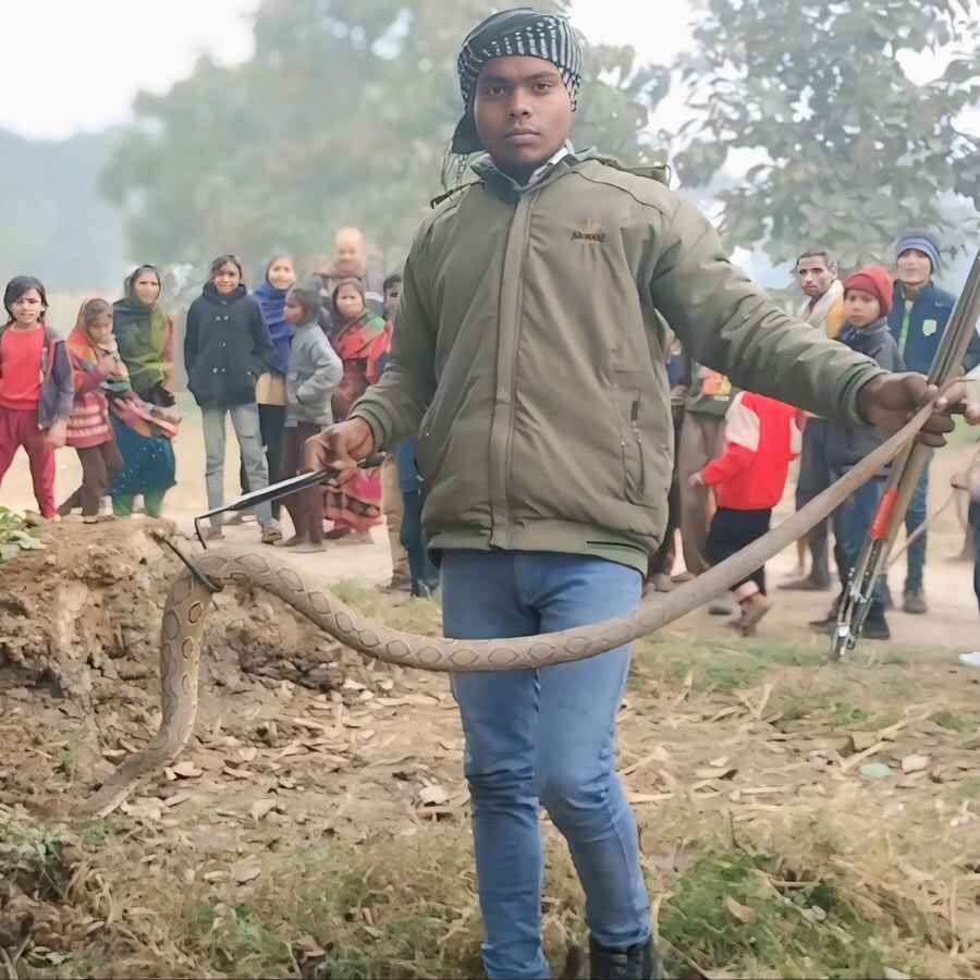 Snake Rescuer Bahraich