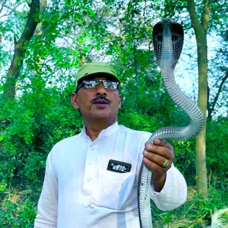 Snake Catcher Muzaffarnagar