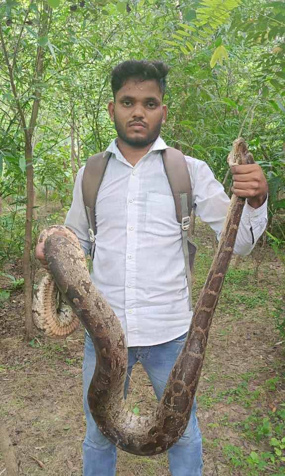 Snake Rescue Team in India Snake Catcher Prayagraj
