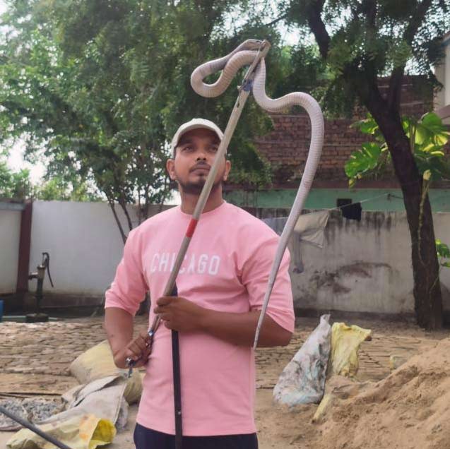 Snake Rescue Team in India Snake Catcher Gorakhpur