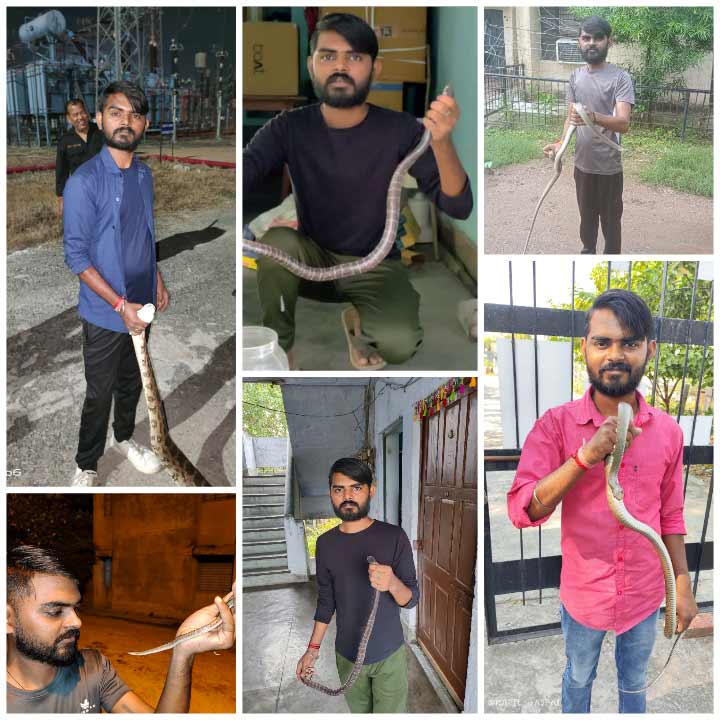 Snake Catcher Unnao