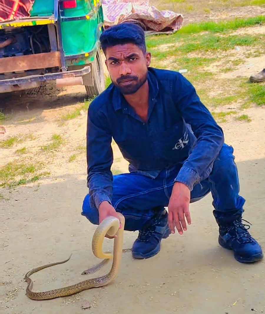 Snake Catcher Meerut