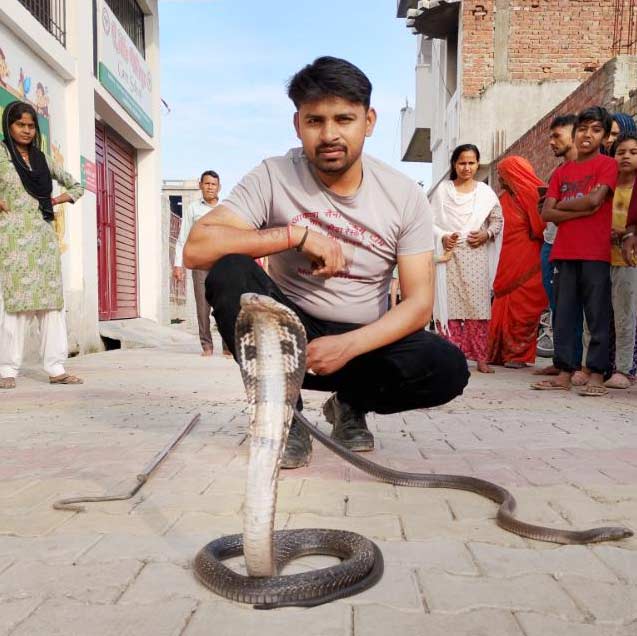 Snake Catcher Amroha