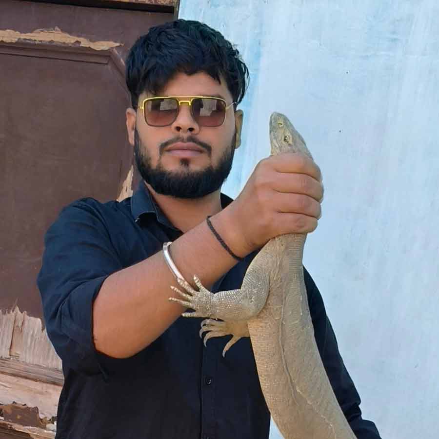 Snake Rescue Team in India Snake Catcher bulandshahr