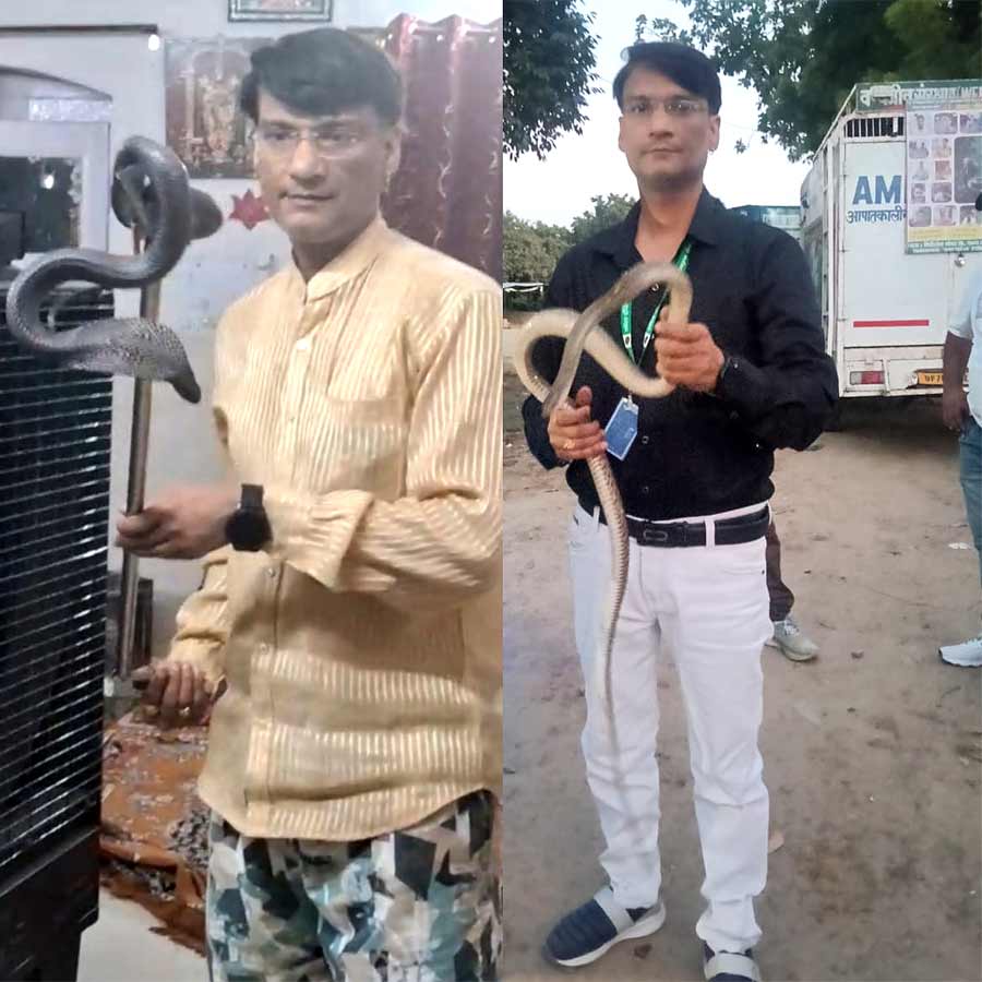 snake catcher in Meerut