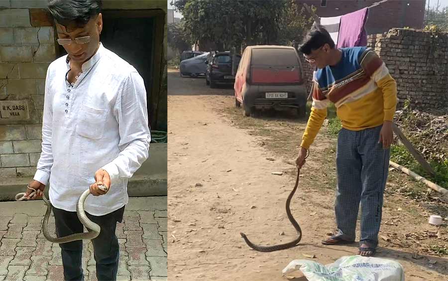 snake catcher in Meerut