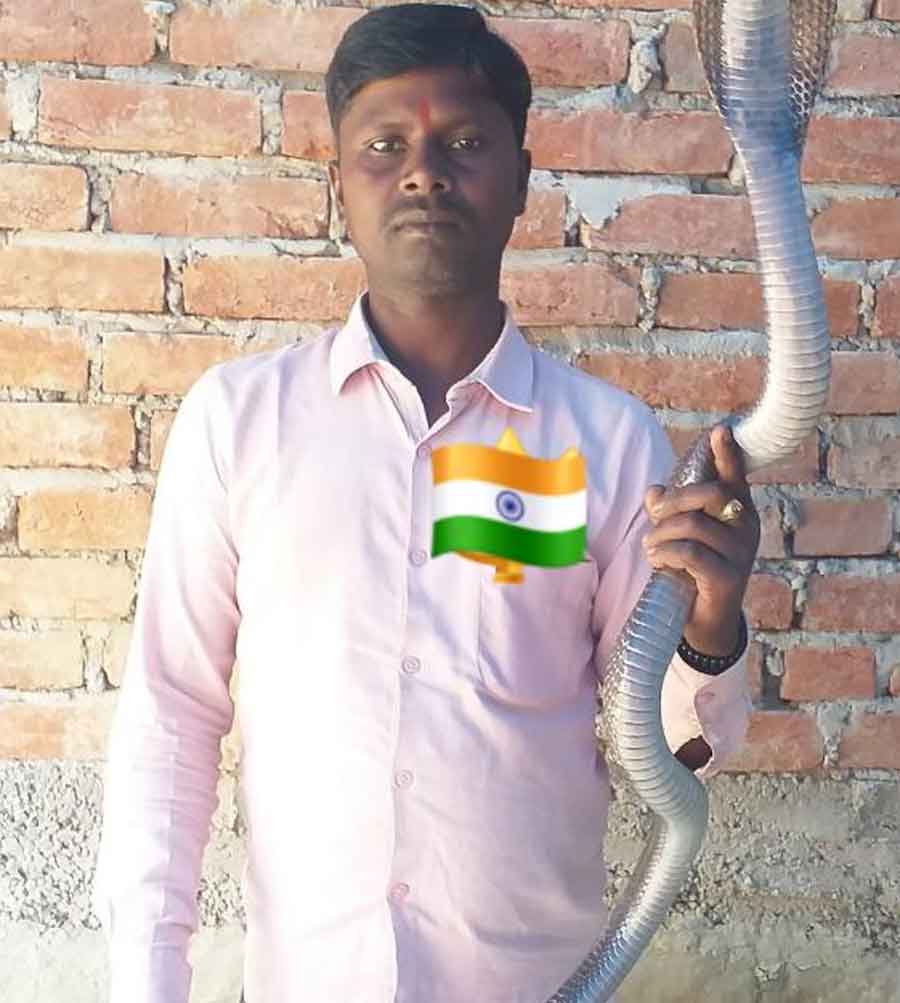 Snake Rescue Team in India snake catcher sitapur