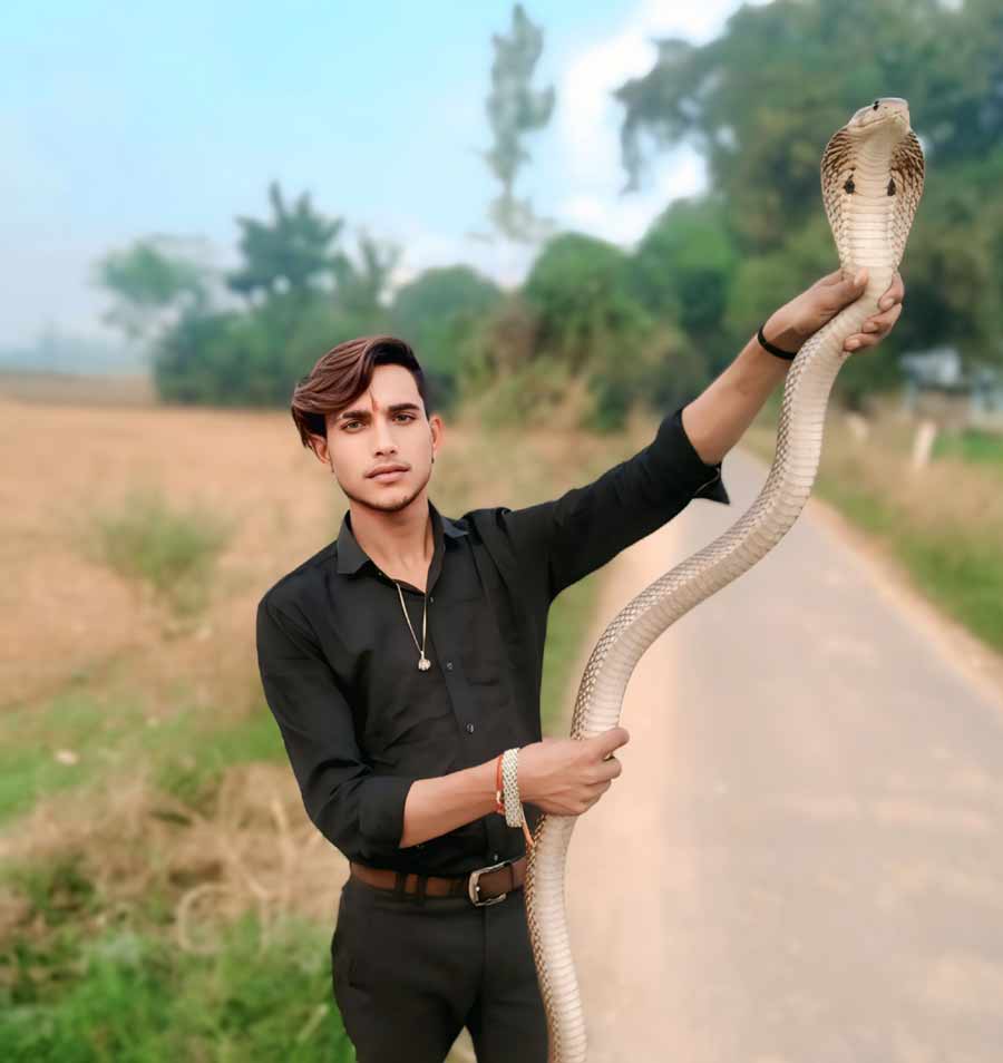 Snake Rescue Team in India Deepak Snake Catcher Aligarh