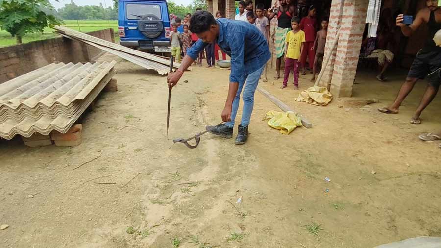 Snake Helpline Bahraich