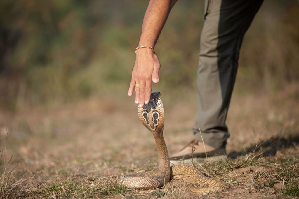Snake Rescue Team in India