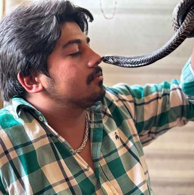 Snake Rescue Team in India Snake Catcher Hisar