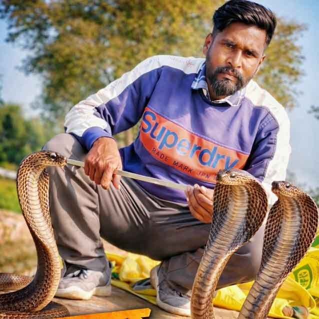 Snake Rescue Team in India Snake Catcher Fatehabad