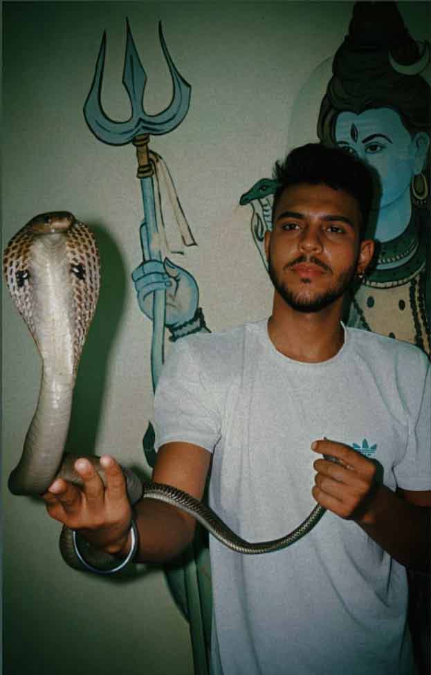 Snake Rescue Team in India Snake Catcher Ghazipur