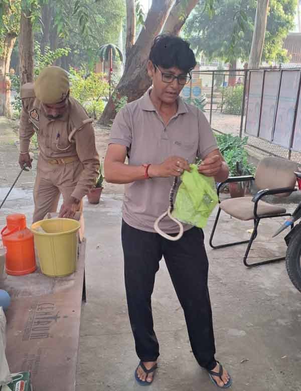 Snake Rescue Team in India snake catcher meerut