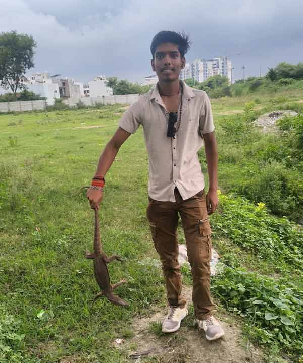 Snake Rescue Team in India Snake Rescue Team in India