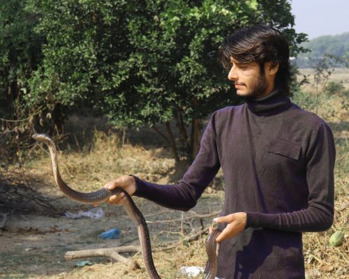 snake Catcher in Fatehpur